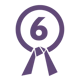 lean 6 sigma-purple belt