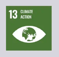 13 Climate Action tag