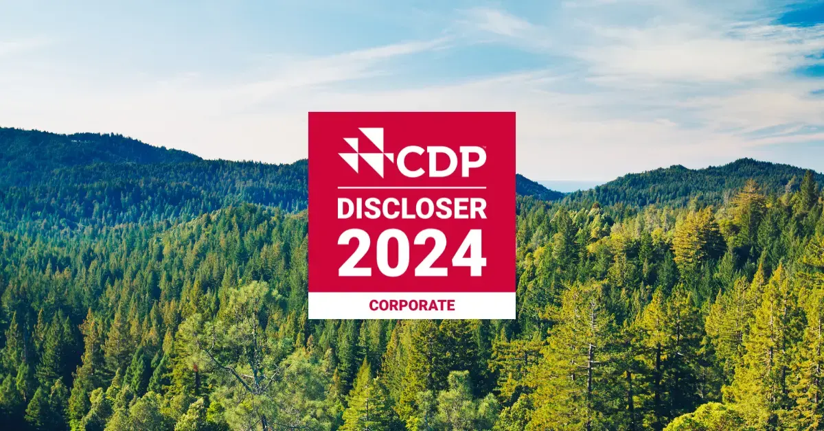 CDP Discloser 2024