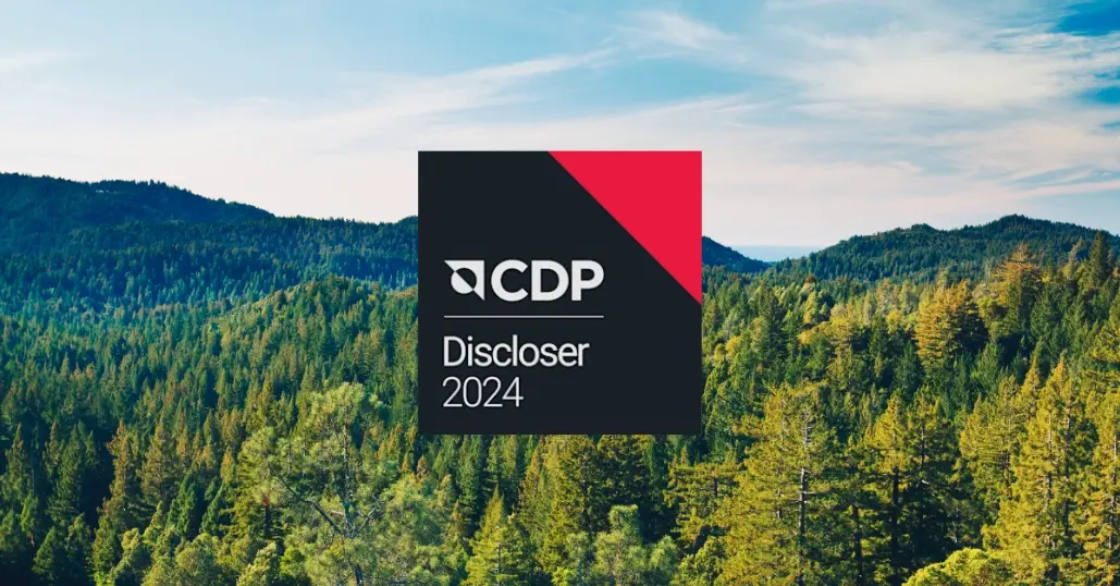 CDP Discloser 2024 Logo