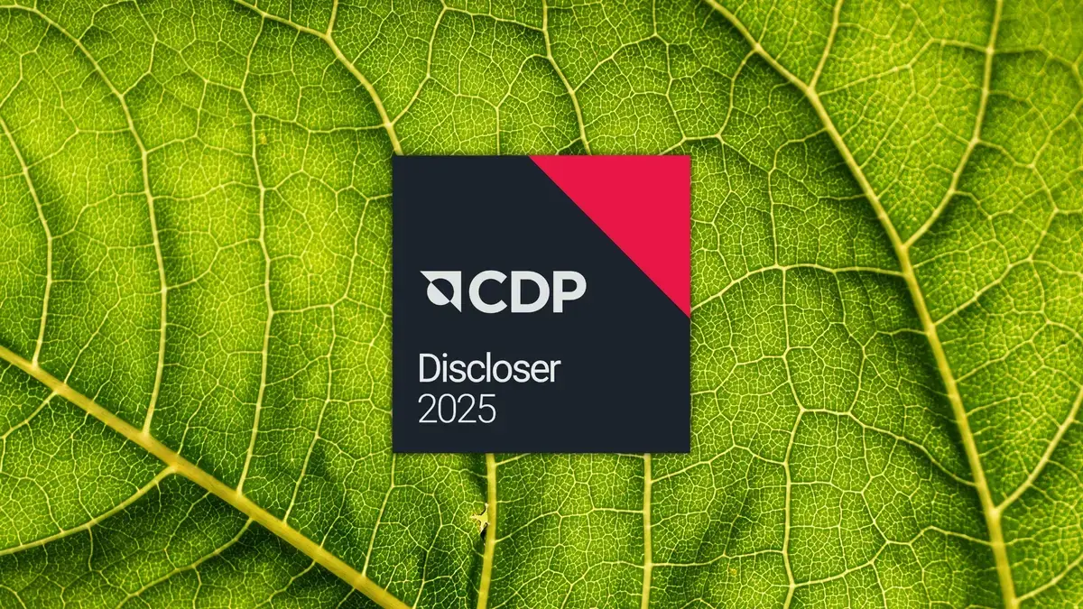 A close up of a leaf texture with the CDP logo badge overlayed